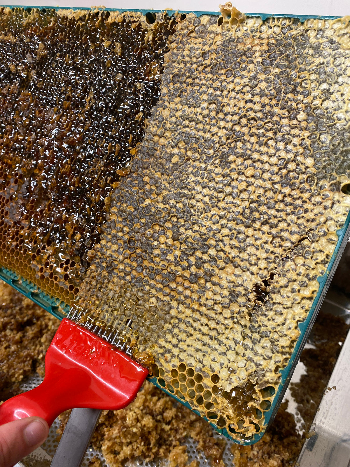 Bioforme Frame - 30g Wax Full Depth