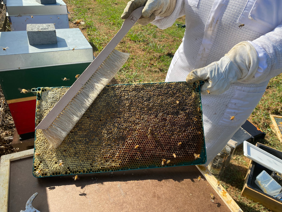 Bioforme Frame - 30g Wax Full Depth