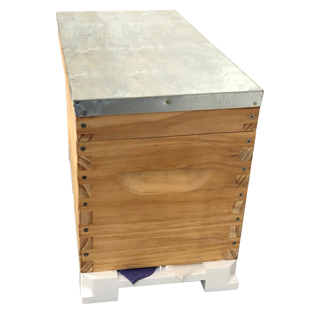Bee Hive Nuc - Fully Assembled - 6F with Base + Lid + Nuc box