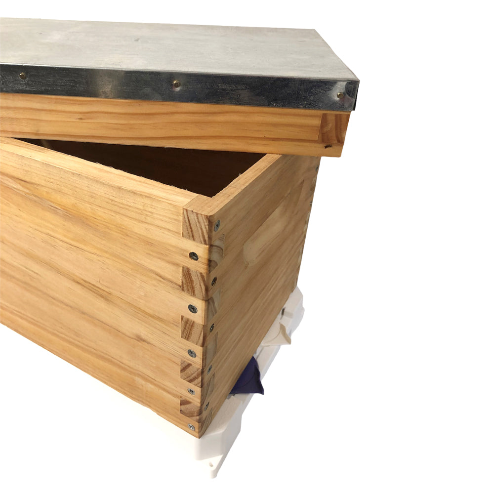 Bee Hive Nuc - Fully Assembled - 6F with Base + Lid + Nuc box