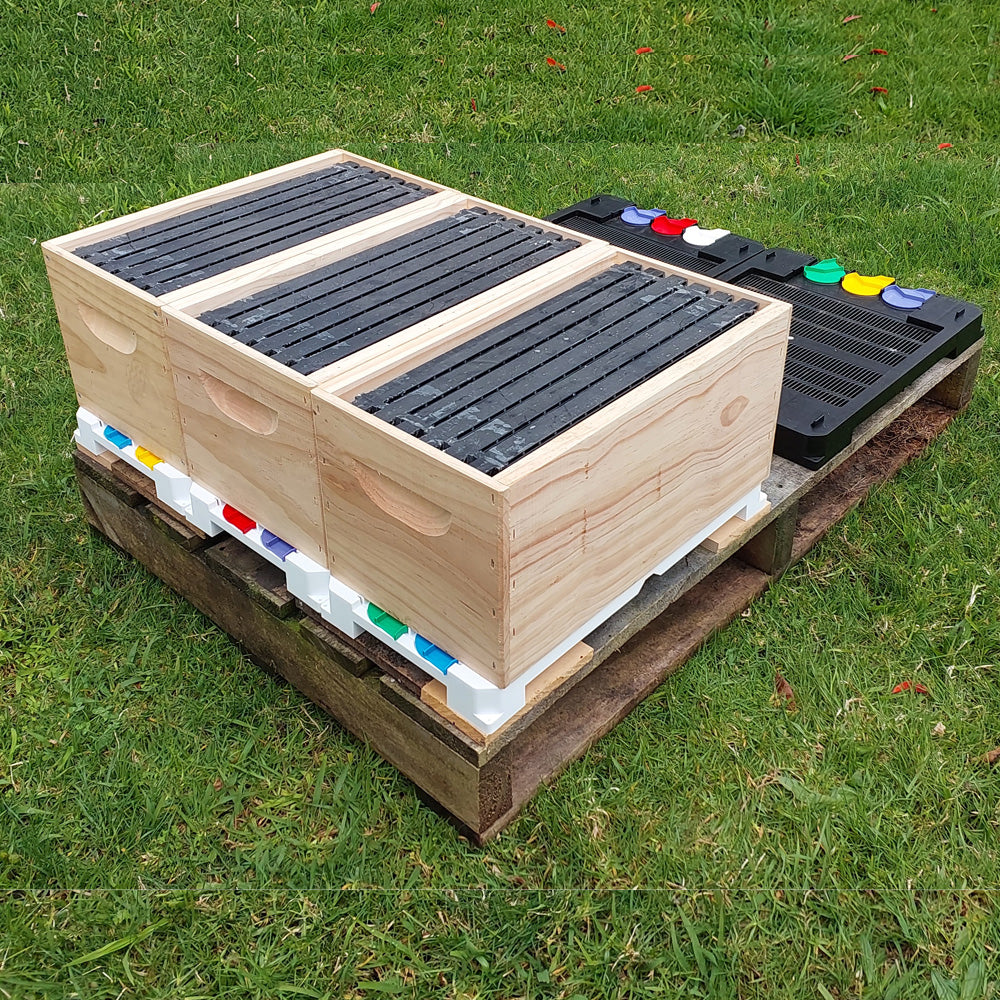Bee Hive Nuc - Fully Assembled - 6F with Base + Lid + Nuc box