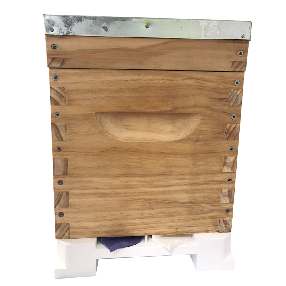 Bee Hive Nuc - Fully Assembled - 6F with Base + Lid + Nuc box