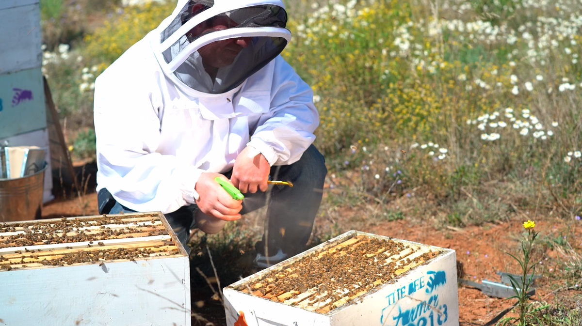 Liquid Bee Smoke - 30g Sachet