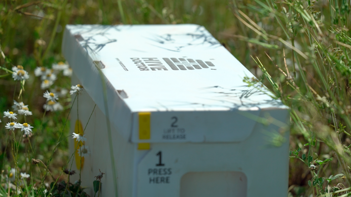 Hive Doctor Smart Nuc - 3/4 Depth 6 Frame