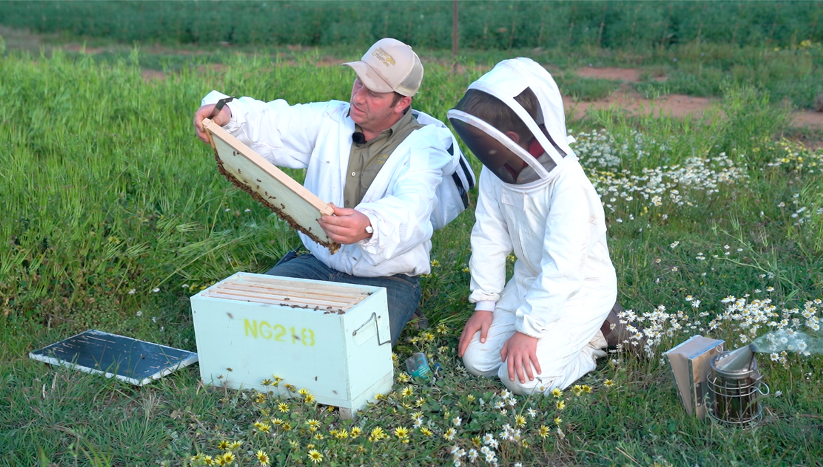 Mens Bee Suit with Folding Hood - (White) - NZ made