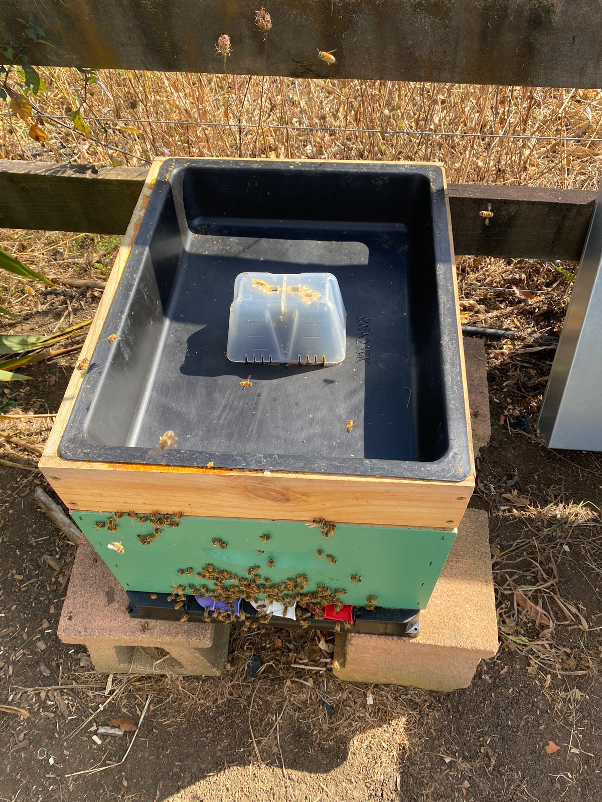 9.5L Beetek Top Feeder - 10 Frame