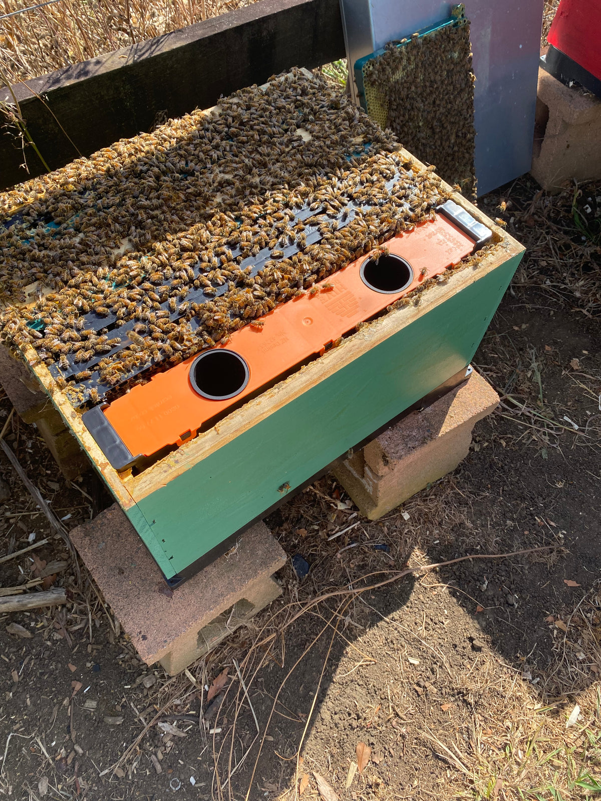 Hive Doctor W5 Frame Feeder (5L)