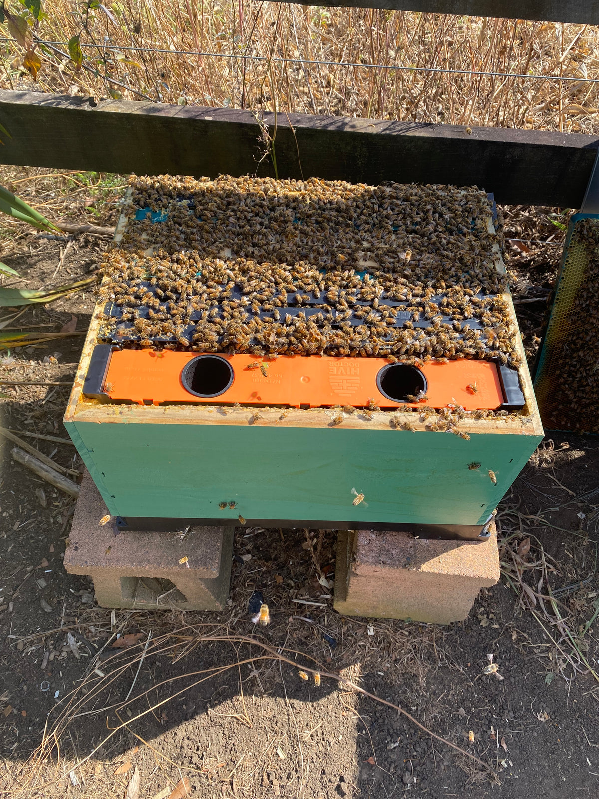 Hive Doctor W5 Frame Feeder (5L)