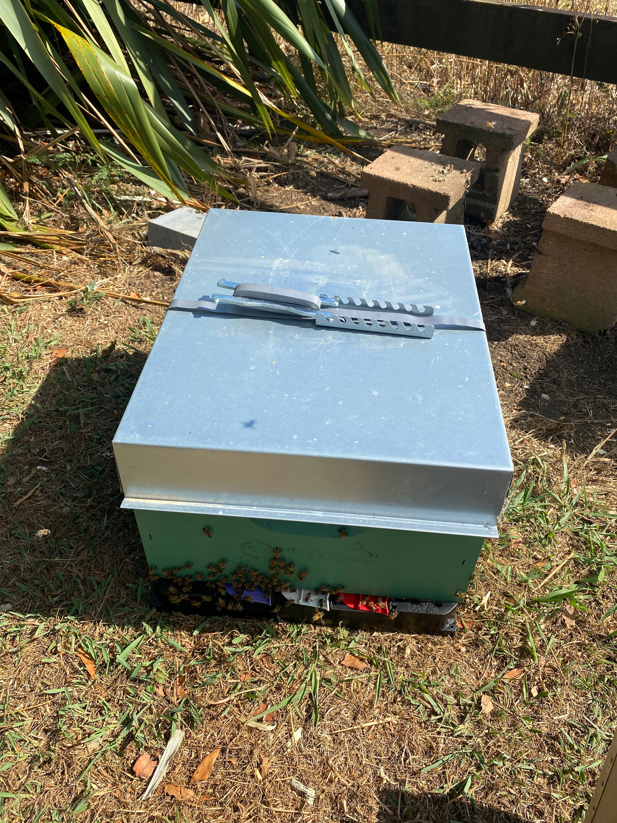 Galvanised Hive Strap - Complete