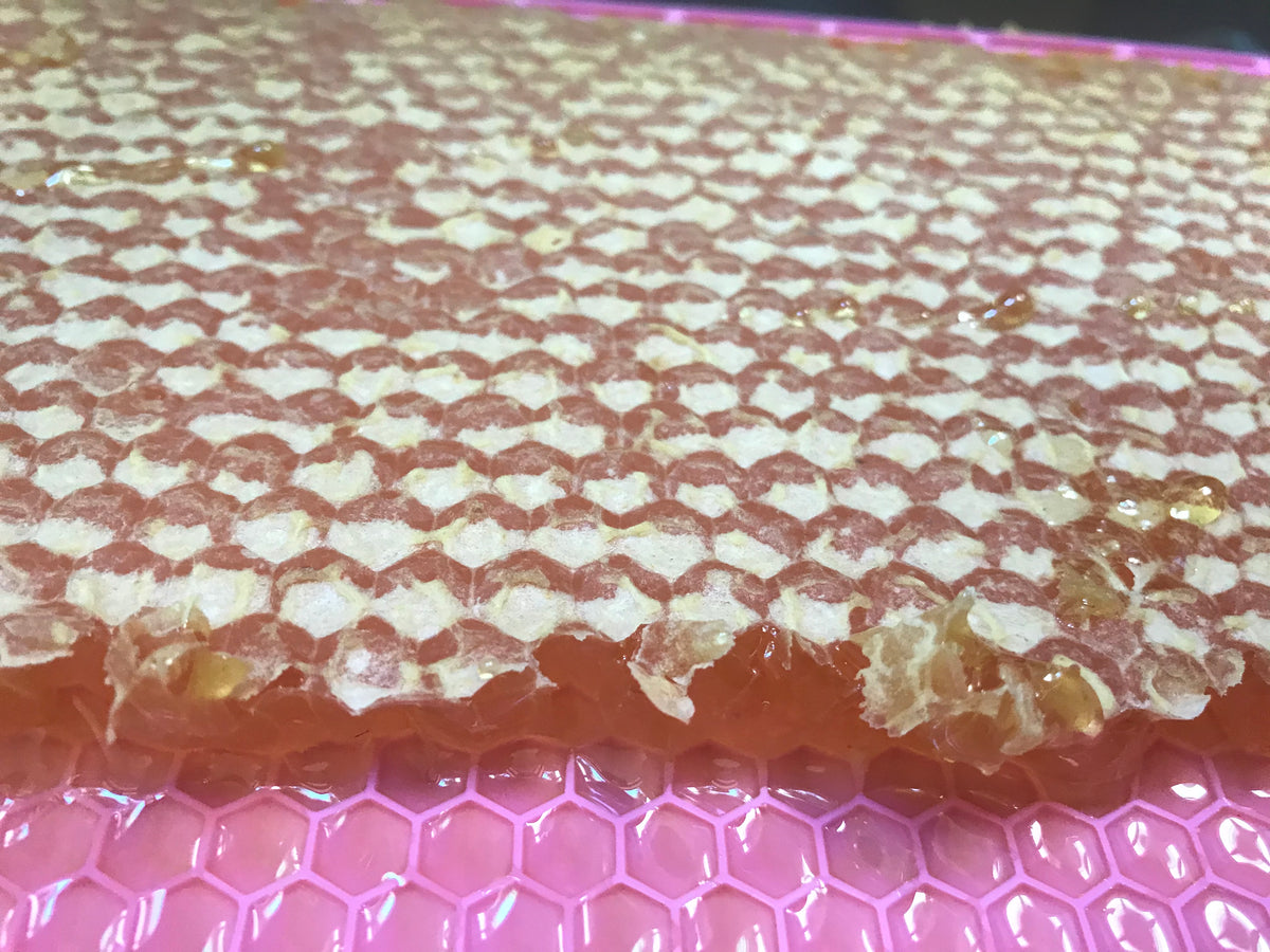 HoneyMax Hoffman Pink Frame - 3/4 Depth