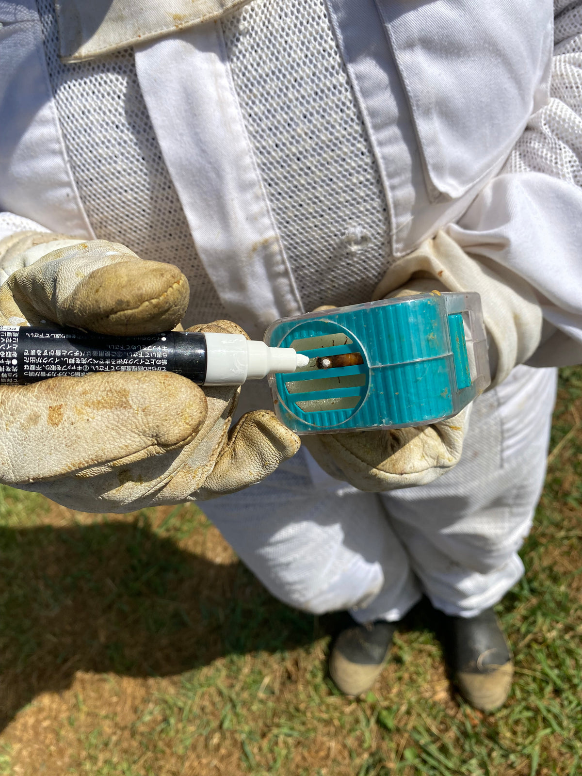 Queen Marking Pen - Five Colours Available