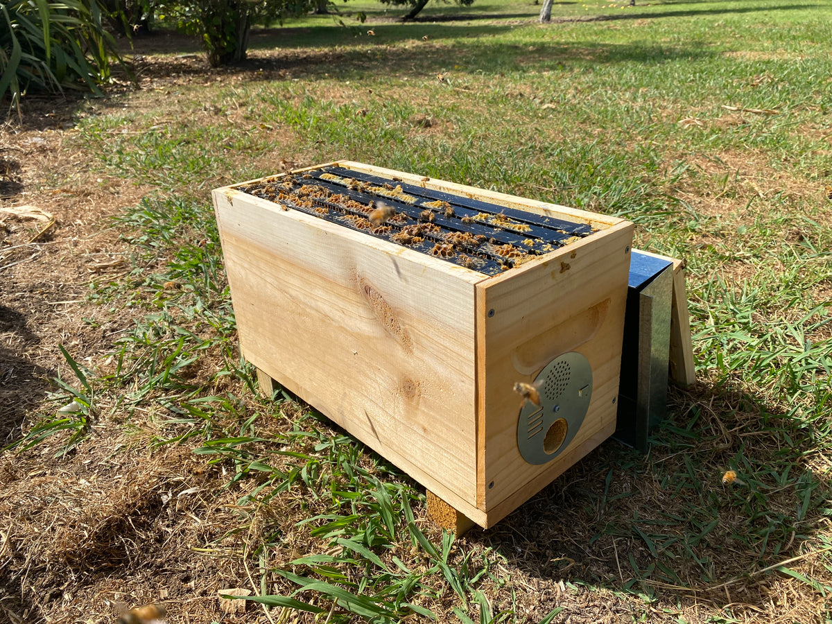 Nuc Entrance Disc - Metal