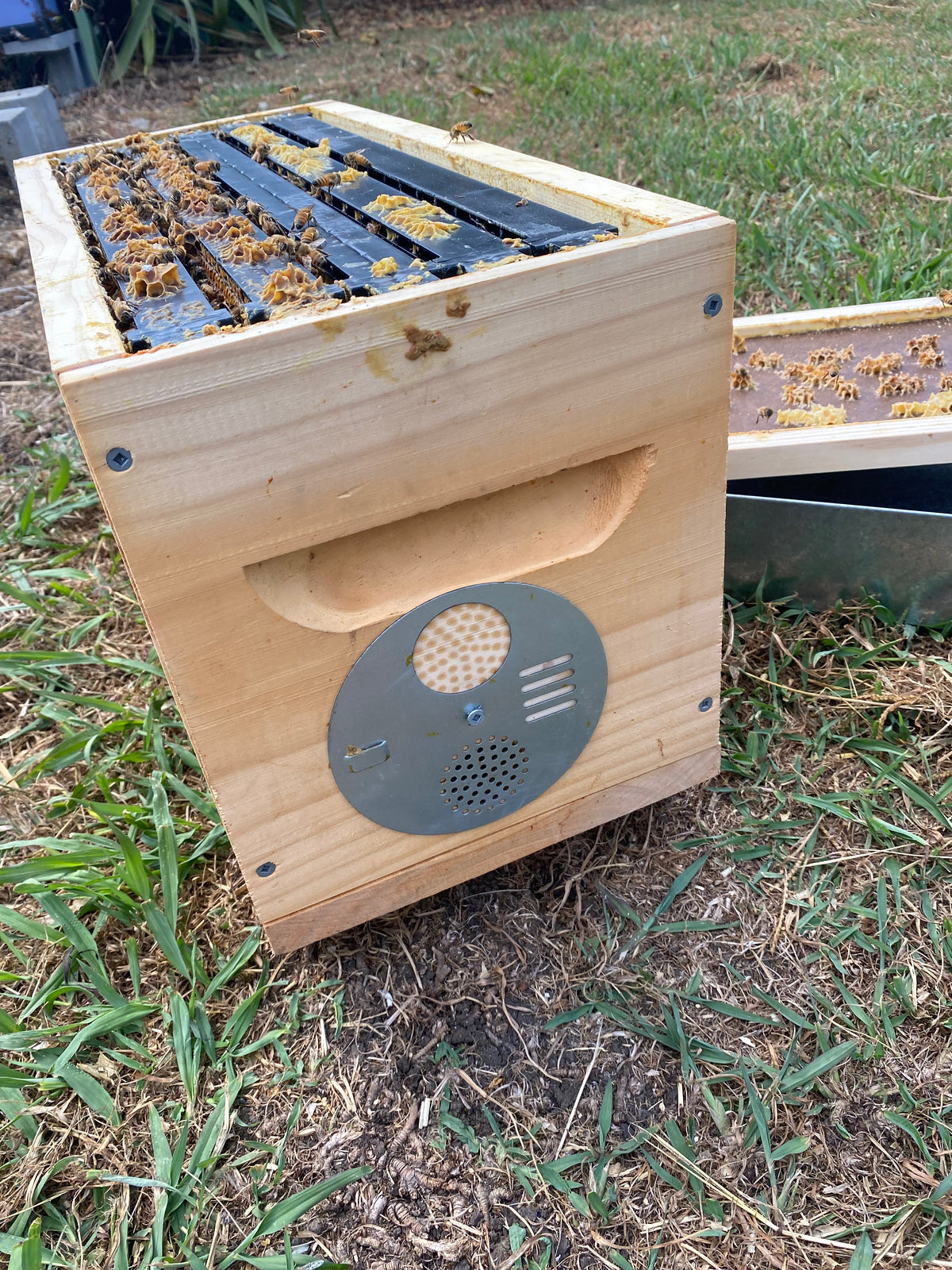 Nuc Entrance Disc - Metal