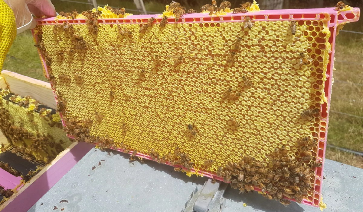 HoneyMax™ Plastic Drone Frame - Full Depth