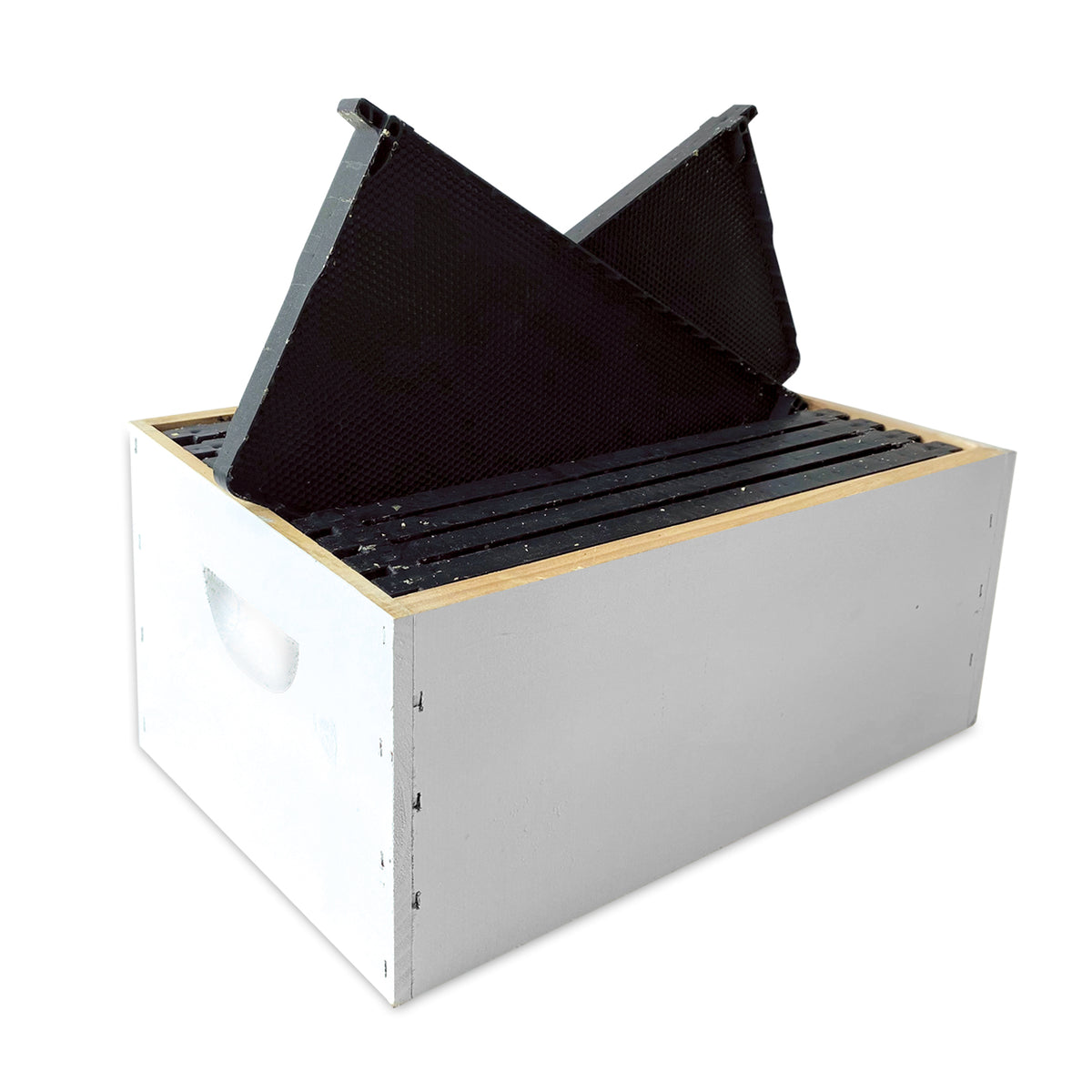 Ready-To-Go Super - Beetek+ Waxed Plastic Frames - Full Depth (Standard)