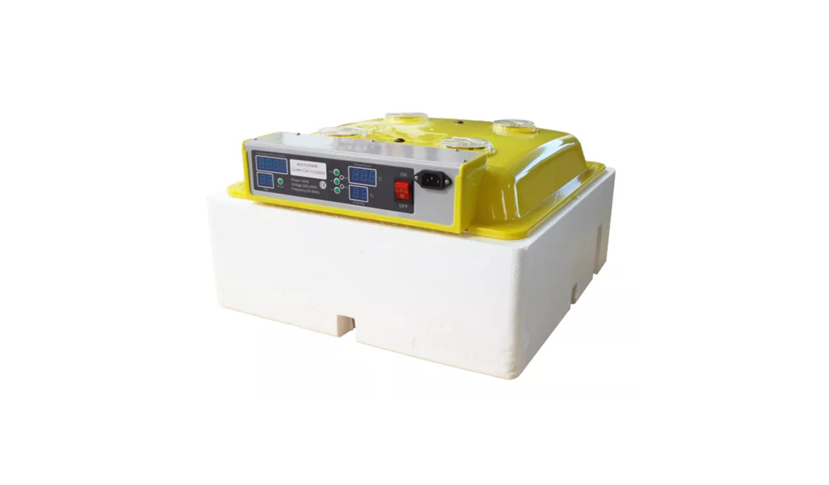 Queen Cell Incubator - 288 Cell