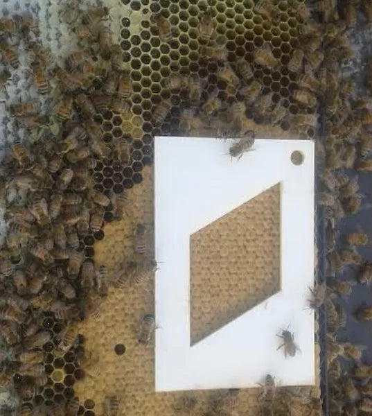 Queen V Tool - Virility and Viability