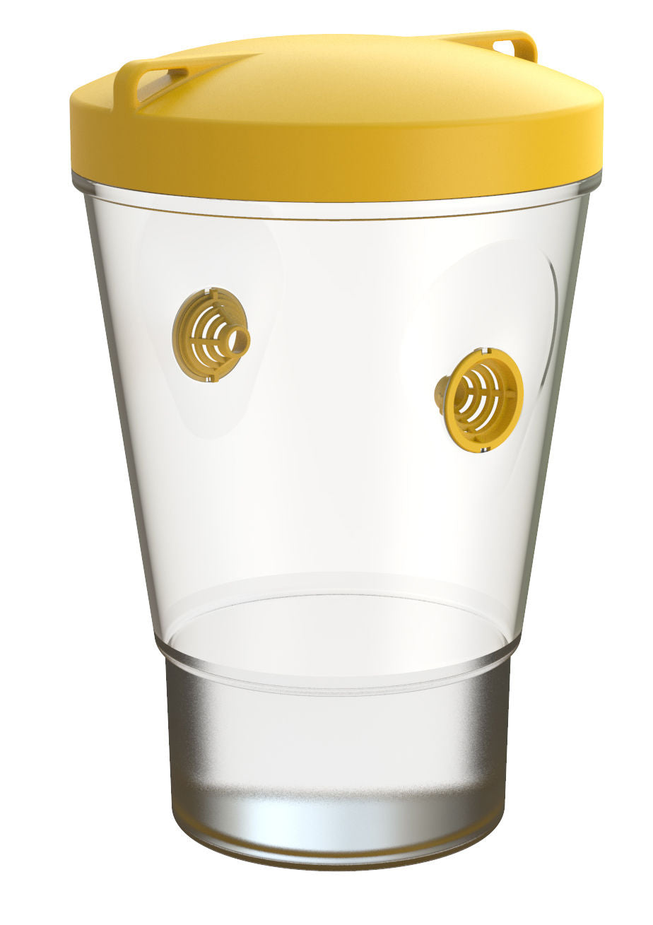 Vespex Dominator Wasp Bottle Trap