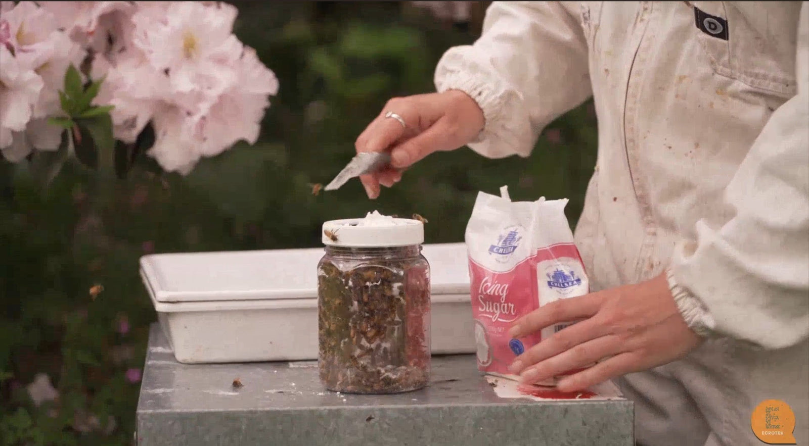 Icing Sugar Shake: An Easy and Effective Varroa Monitoring Technique for Beekeepers