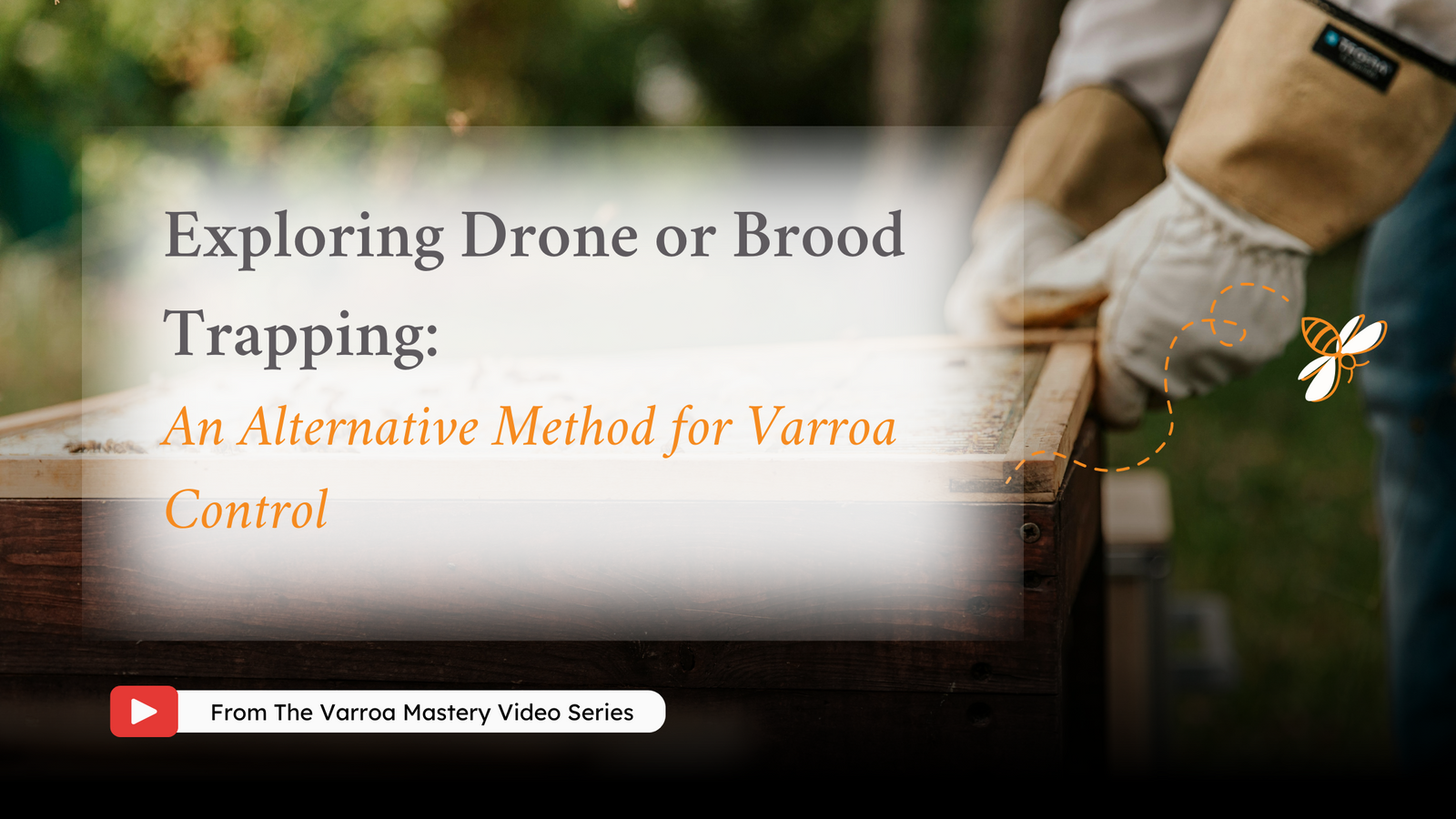 Drone Trapping: An Alternative Strategy for Varroa Mite Control