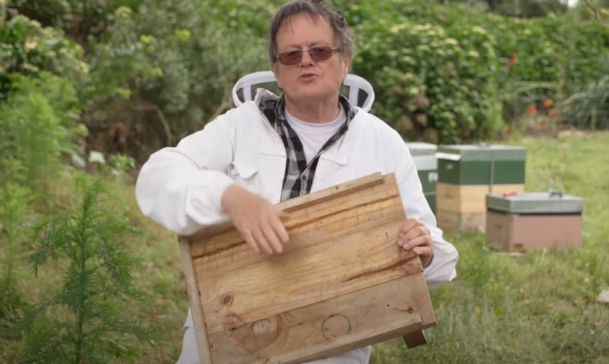 Ventilated Bottom Boards for Varroa Mite Control in Australia