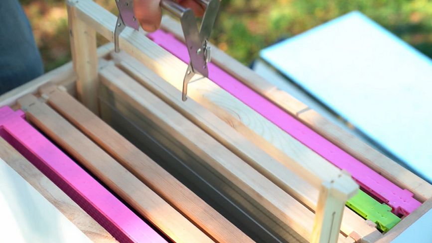 Choosing Bee Hive Frames - Wooden vs Plastic Frames