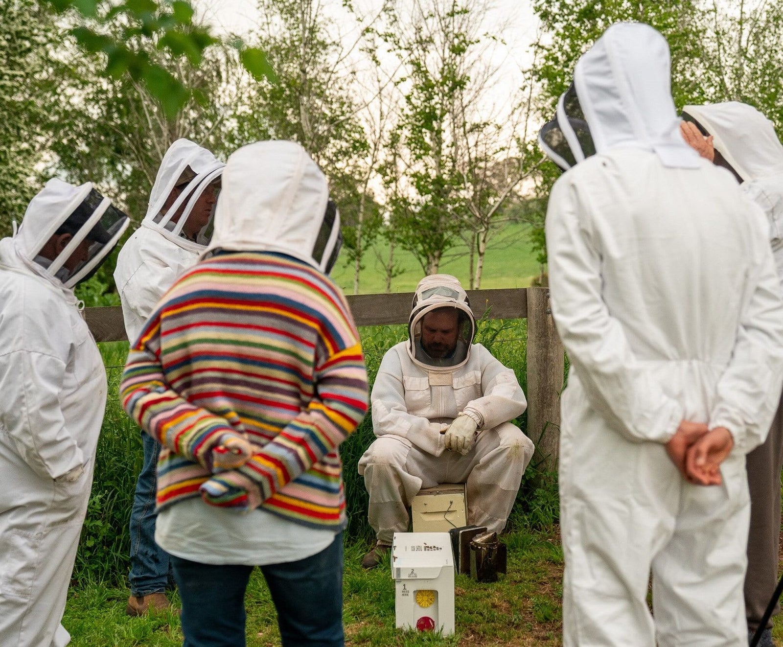 Beekeeping 101: The Ultimate Beginners’ Guide