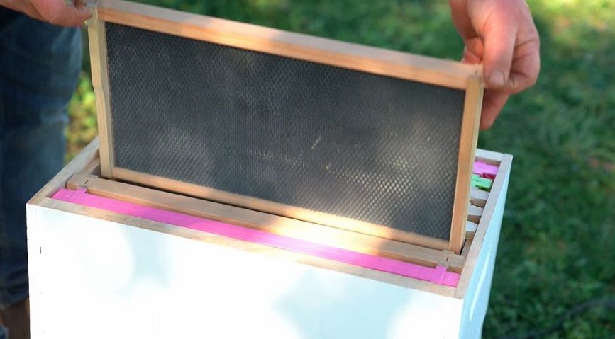 Beekeeping 101: Super Sizes