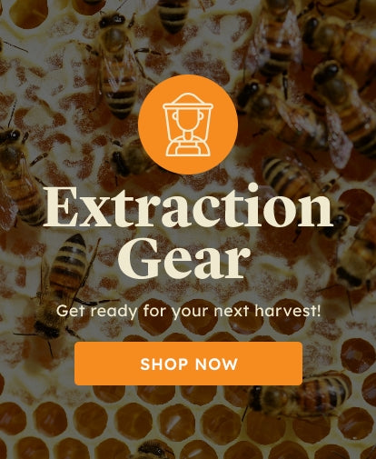 Ecrotek  How to Breed Queen Bees - Ecrotek Beekeeping Supplies Australia